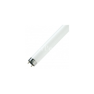 Люминесцентная лампа T8 Osram L 18 W/940 DE LUXE G13, 590 mm