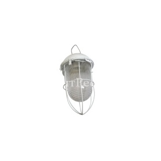 Светильник подвесной НСП 02-100-003 желудь 100Вт Е27 IP56 с решеткой